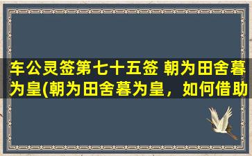 车公灵签第七十五签 朝为田舍暮为皇(朝为田舍暮为皇，如何借助SEO实现网站流量增长)